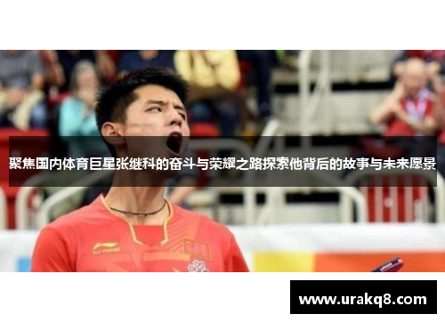 聚焦国内体育巨星张继科的奋斗与荣耀之路探索他背后的故事与未来愿景